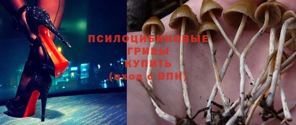 spice Кодинск
