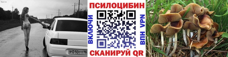 Купить закладки  Судогда  Галлюциногенные грибы мицелий 
